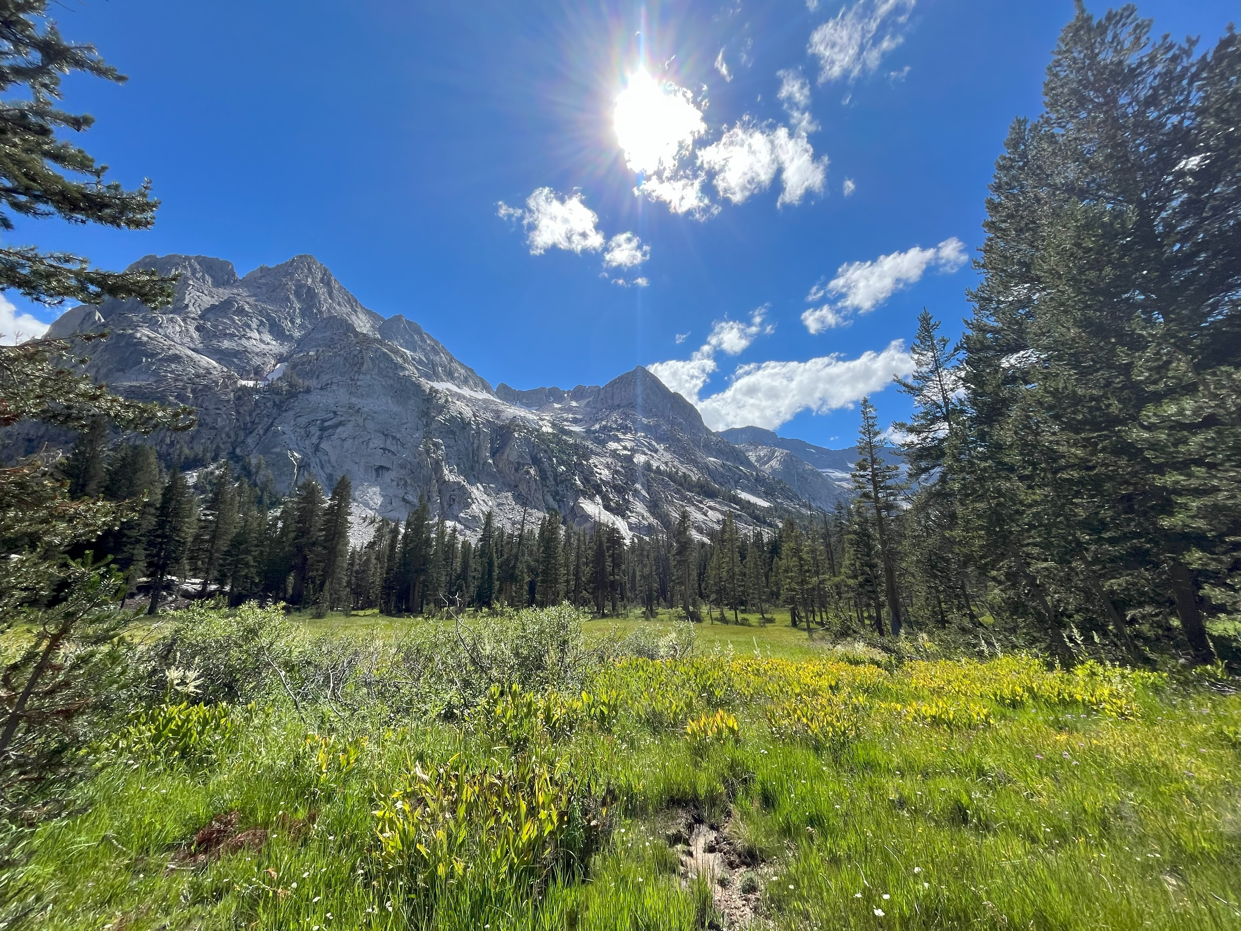 John Muir Trail in CA